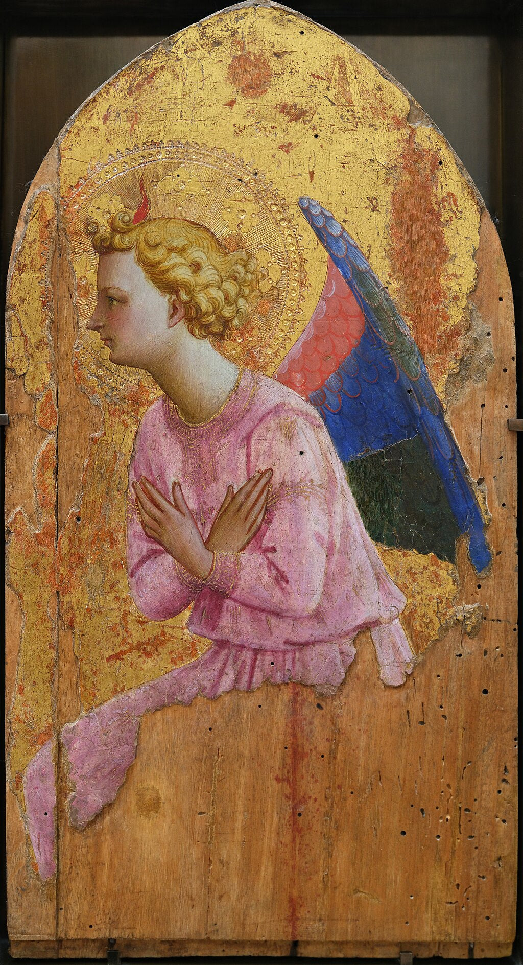 Angel en adoration, tourné vers la gauche - Fra Angelico