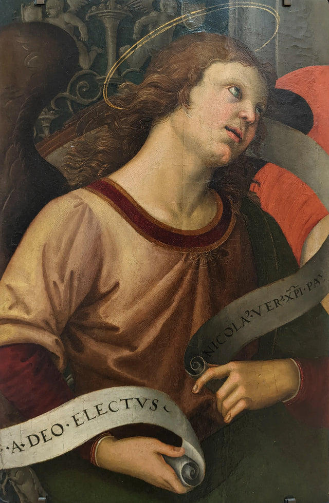 Angel holding a phylactery, fragment of the Baronci altarpiece, circa 1500-1501 - Raphaël