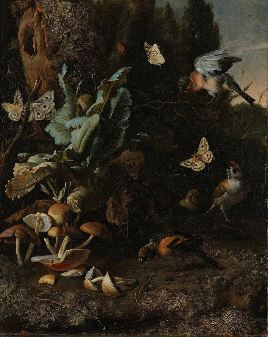 Animals and Plants - Melchior de Hondecoeter
