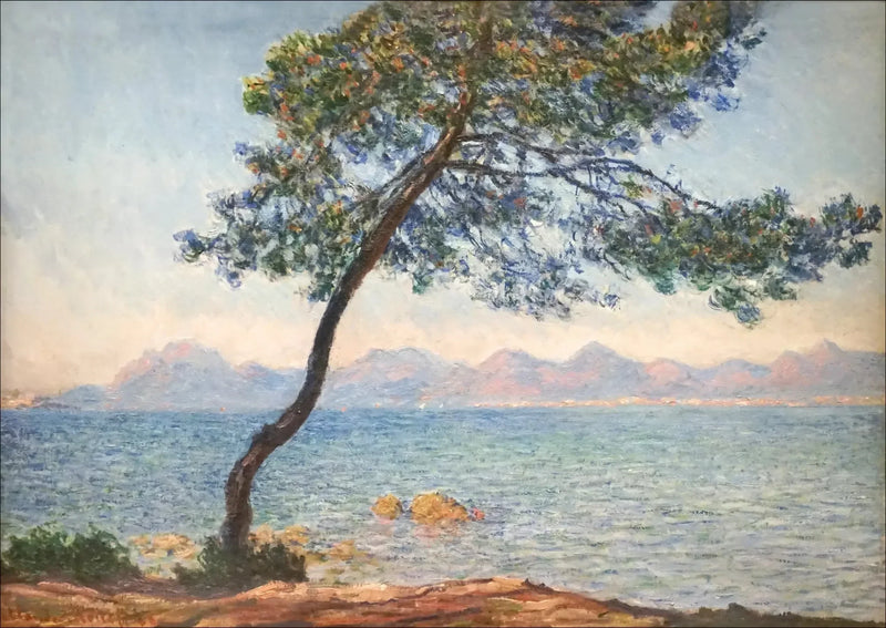The Antibacterials - Claude Monet