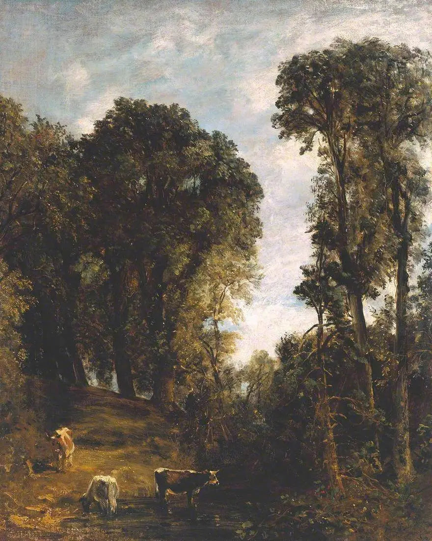 Arbres à Hampstead - John Constable - Alpha Reproduction