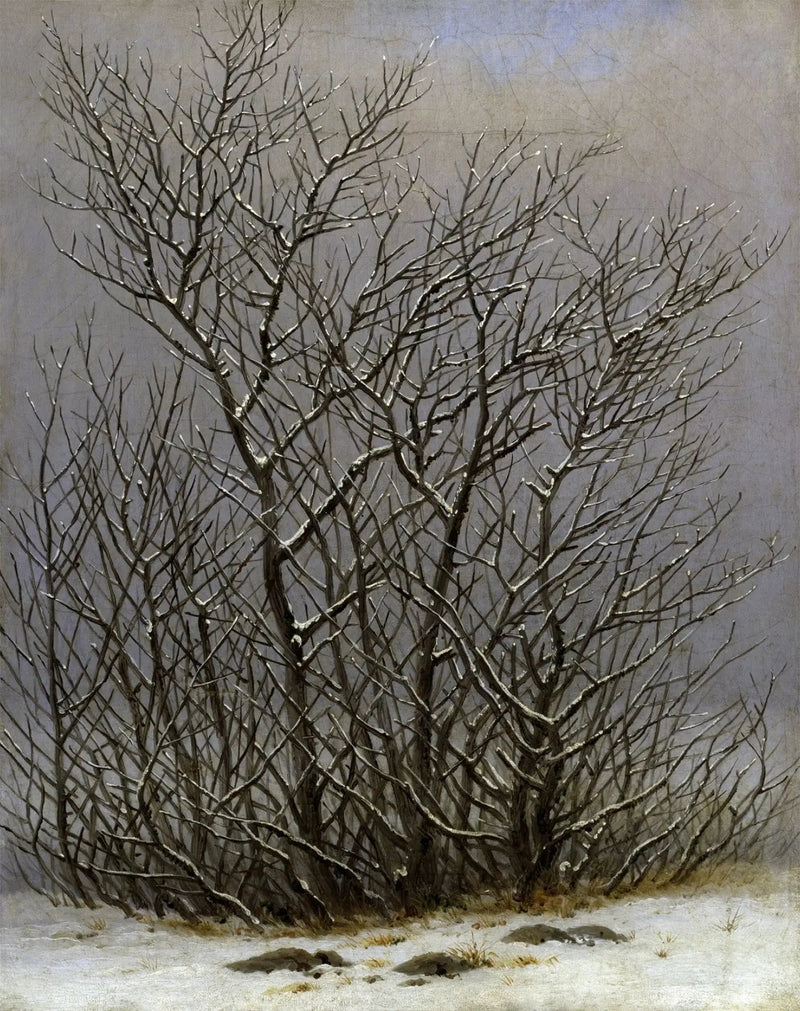 Trees and Shrubs Under the Snow - Caspar David Friedrich