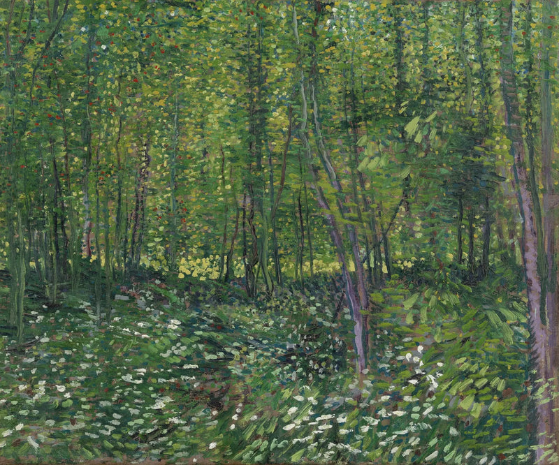 Trees and Undergrowth - Vincent van Gogh