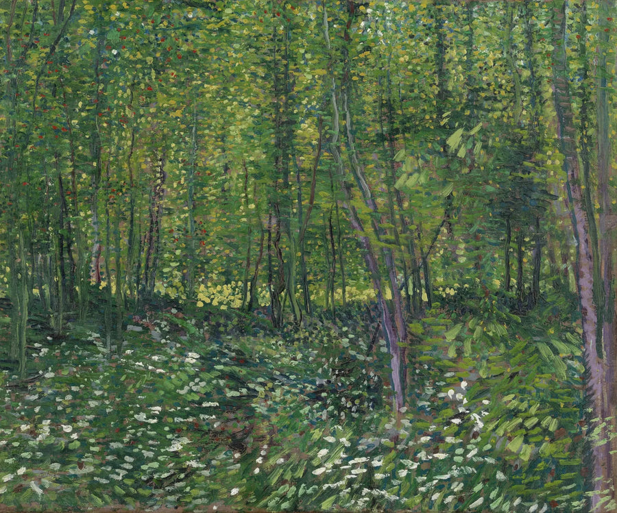 Trees and Undergrowth - Vincent van Gogh
