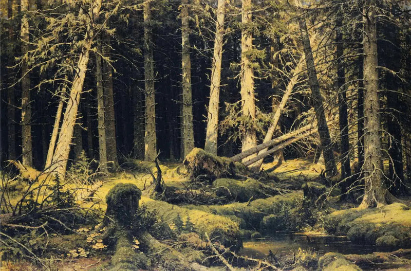 Fallen Trees by the Wind - Ivan Chichkine