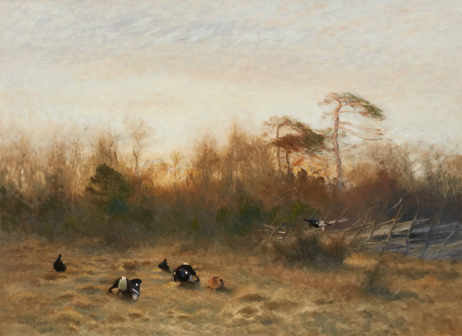 black grouse arena - Bruno Liljefors