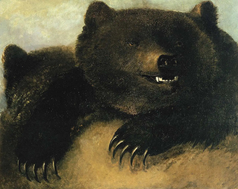 Weapons and physiognomy of the grizzly bear - George Catlin
