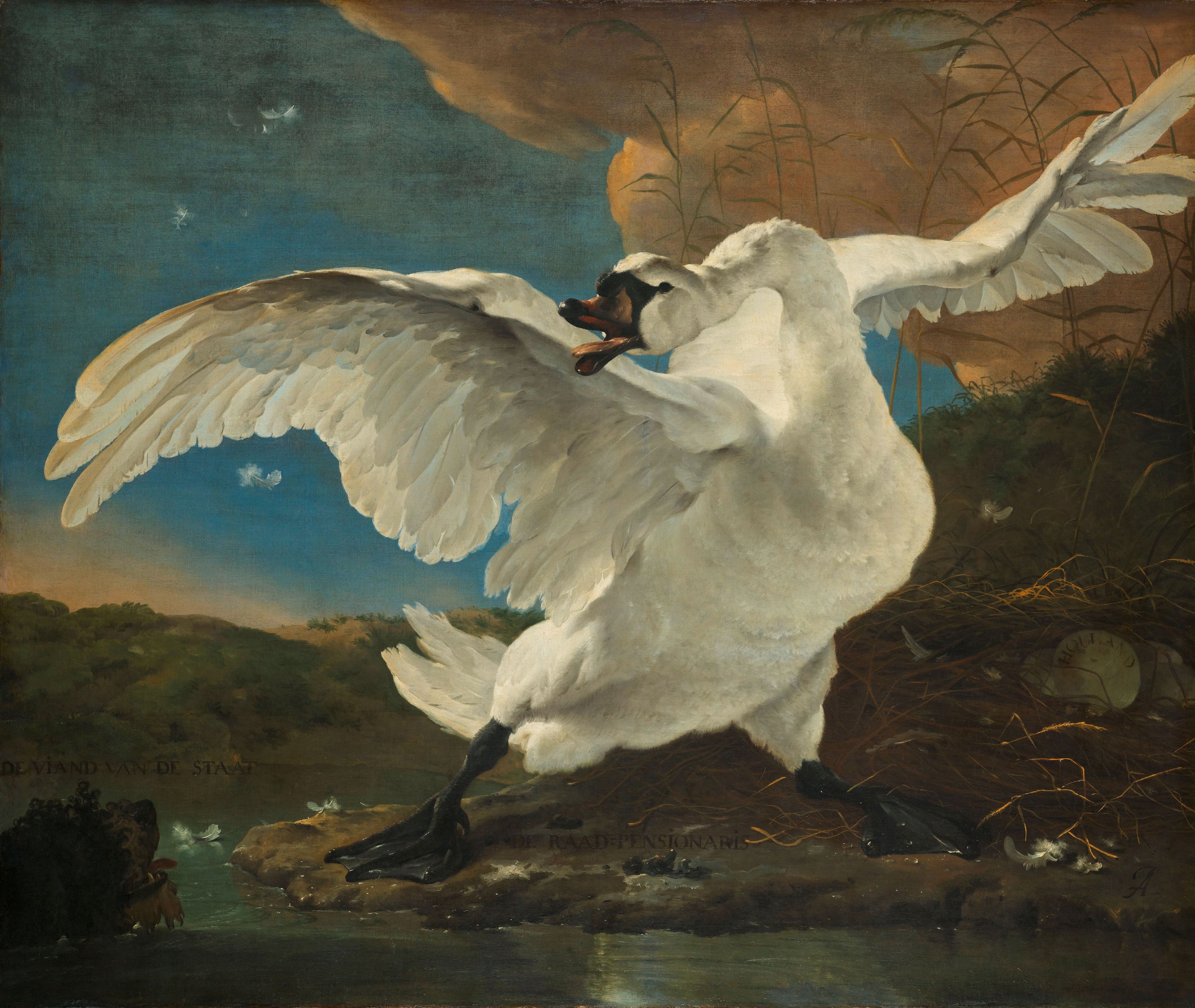 Le Cygne menacé - Jan Asselyn