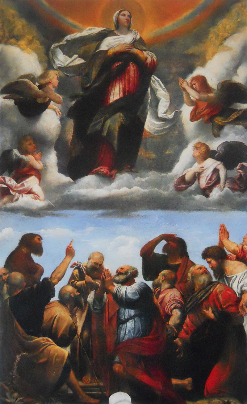 Assumption of the Virgin - Alessandro Bonvicino