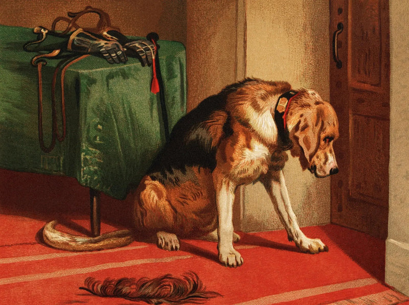 Waiting - Edwin Henry Landseer