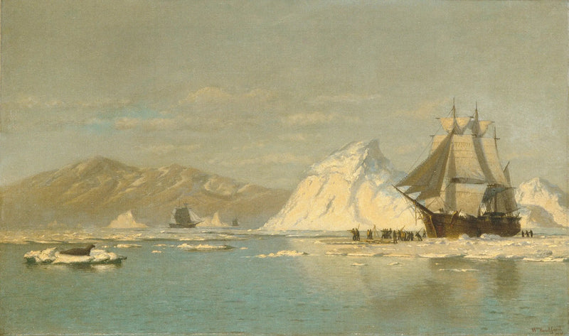 Off the coast of Greenland — Baleen whale in search of open waters - William Bradford