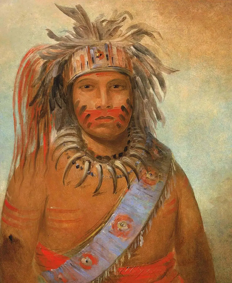 Au-nim-muck-kwa-um, storm bird - George Catlin