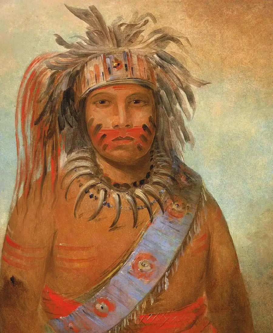 Au-nim-muck-kwa-um, storm bird - George Catlin