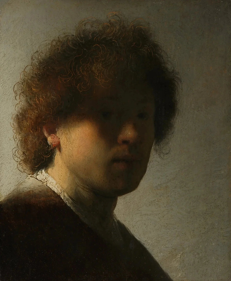Self-Portrait with Disheveled Hair - Rembrandt
