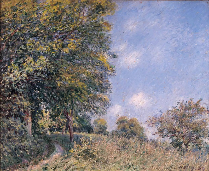 Around the Forest, July Morning - Alfred Sisley