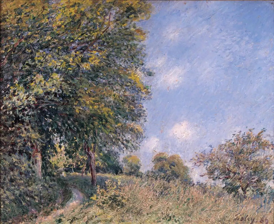 Around the Forest, July Morning - Alfred Sisley