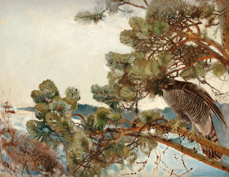 Around the Wood Pigeons - Bruno Liljefors
