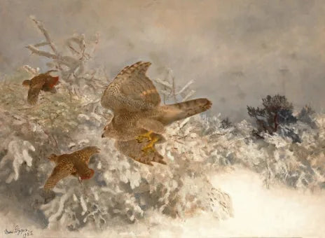 Around the wood pigeons in a winter landscape - Bruno Liljefors