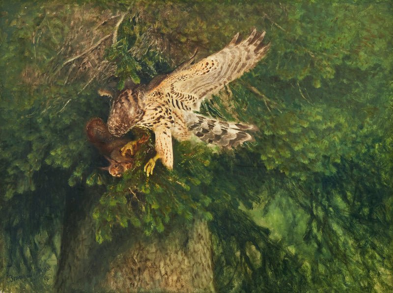 Around the wood pigeons and squirrels - Bruno Liljefors
