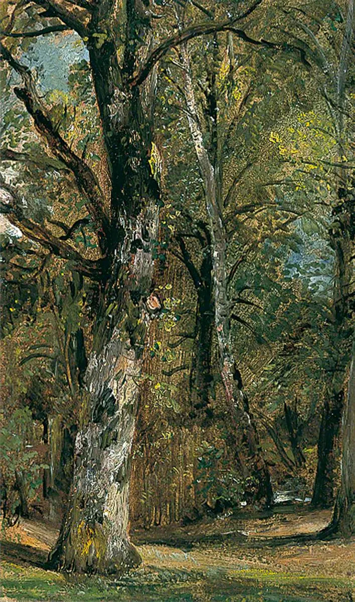 Avenue of Trees - John Constable