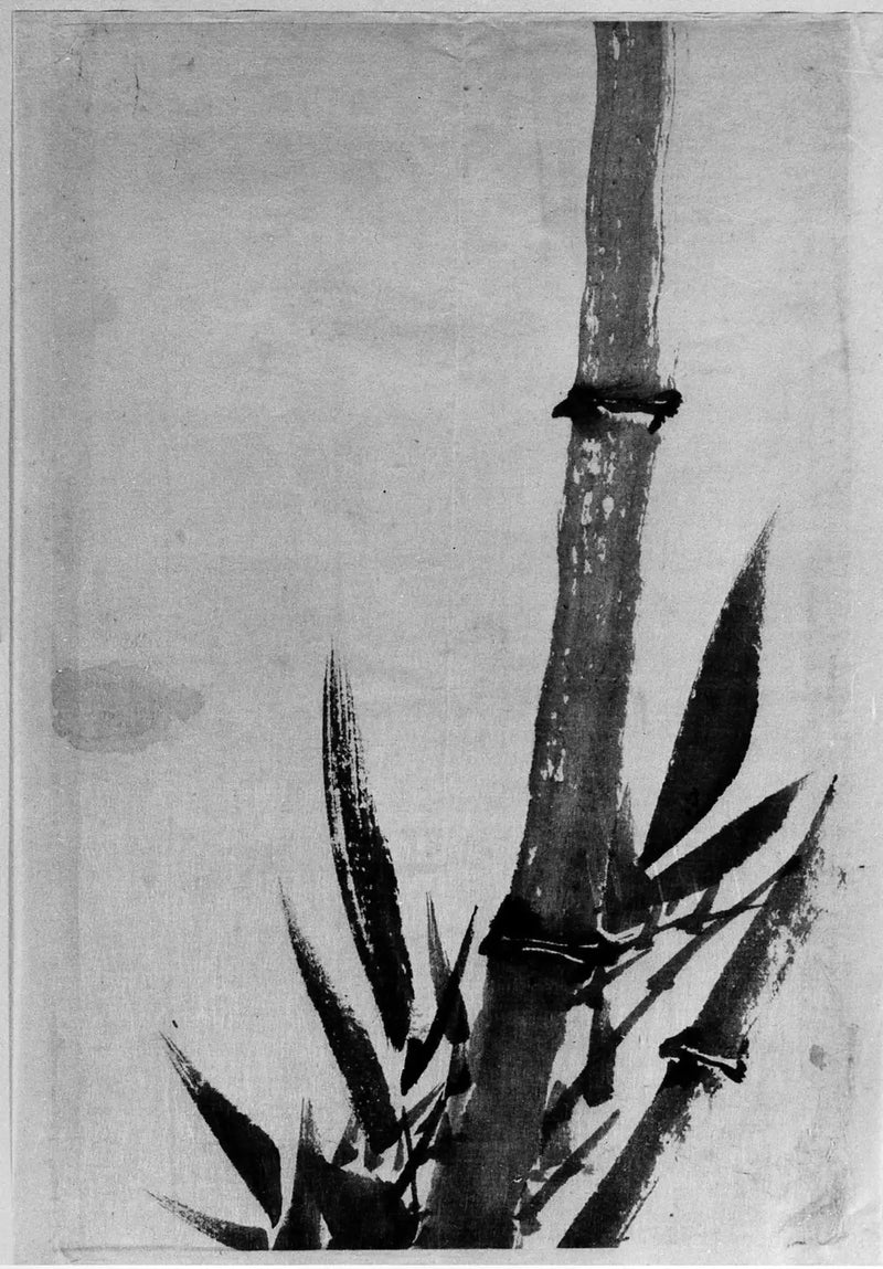 Bamboo - Hokusai