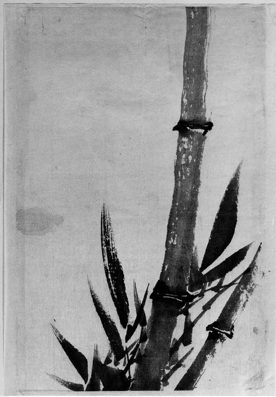 Bamboo - Hokusai