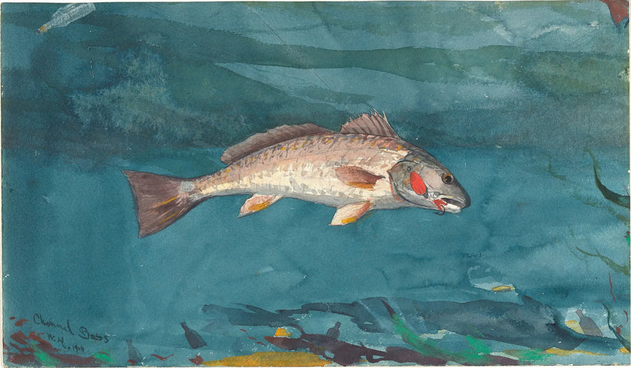 Basse de canal - Winslow Homer