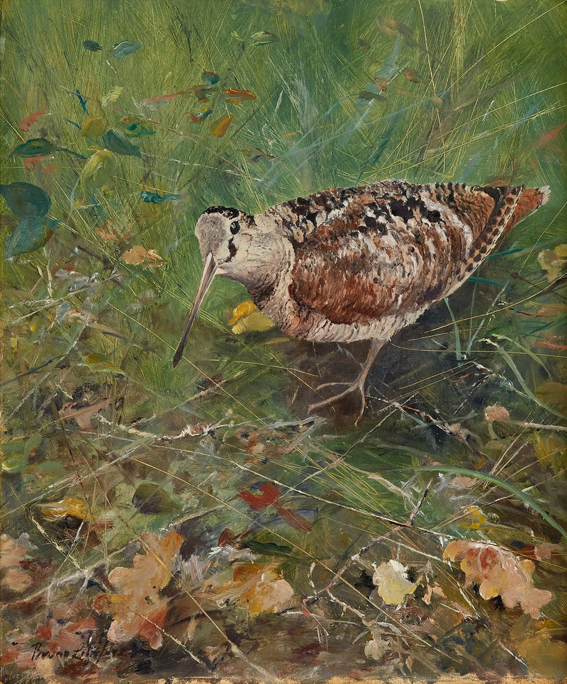 Woodcock - Bruno Liljefors
