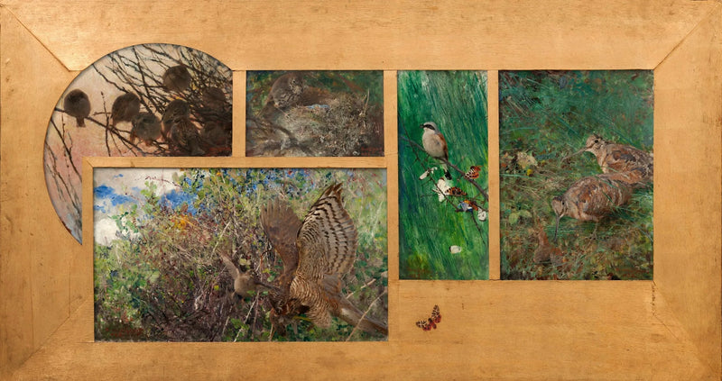 Woodcock, Red-backed Shrike, Thrush in its nest, Sparrowhawk, House Sparrows - Bruno Liljefors