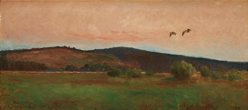 Eurasian woodcocks in flight - Bruno Liljefors