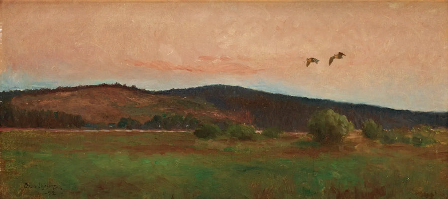 Eurasian woodcocks in flight - Bruno Liljefors