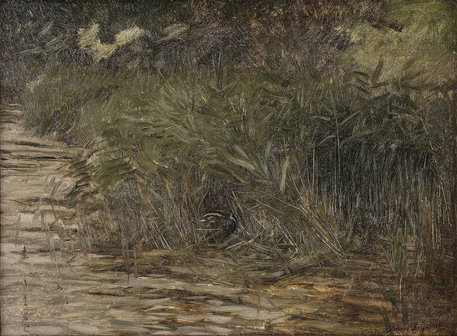 Woodcock in the reeds - Bruno Liljefors