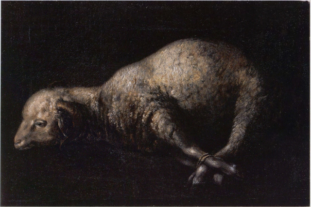 Aries with Tied Feet - Francisco de Zurbarán