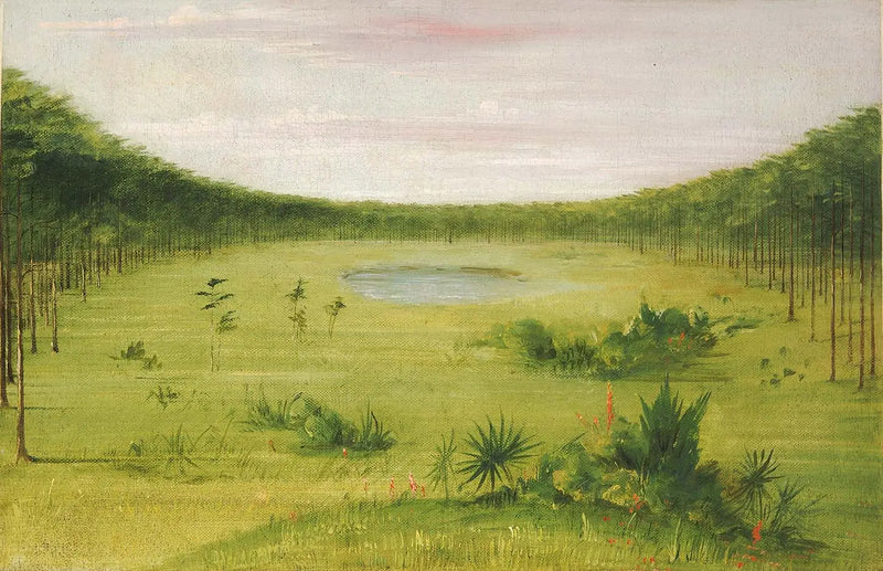 Beautiful Savannah in the Florida Pine Forests - George Catlin