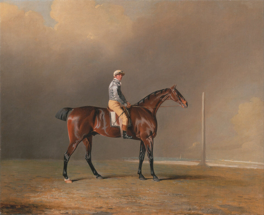 Diamond with Dennis Fitzpatrick Up - Benjamin Marshall