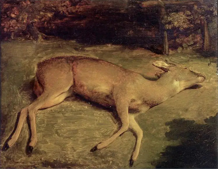 Dead Deer - Gustave Courbet