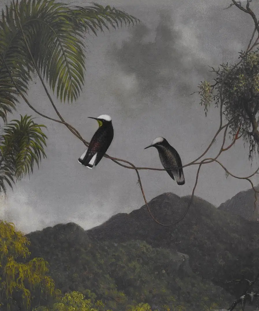 Snow Hat - Martin Johnson Heade