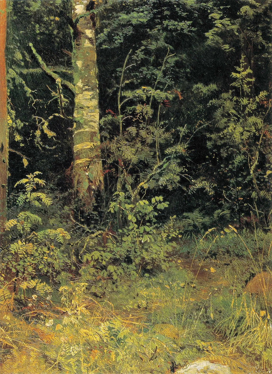 Birch and Sorbier - Ivan Chichkine