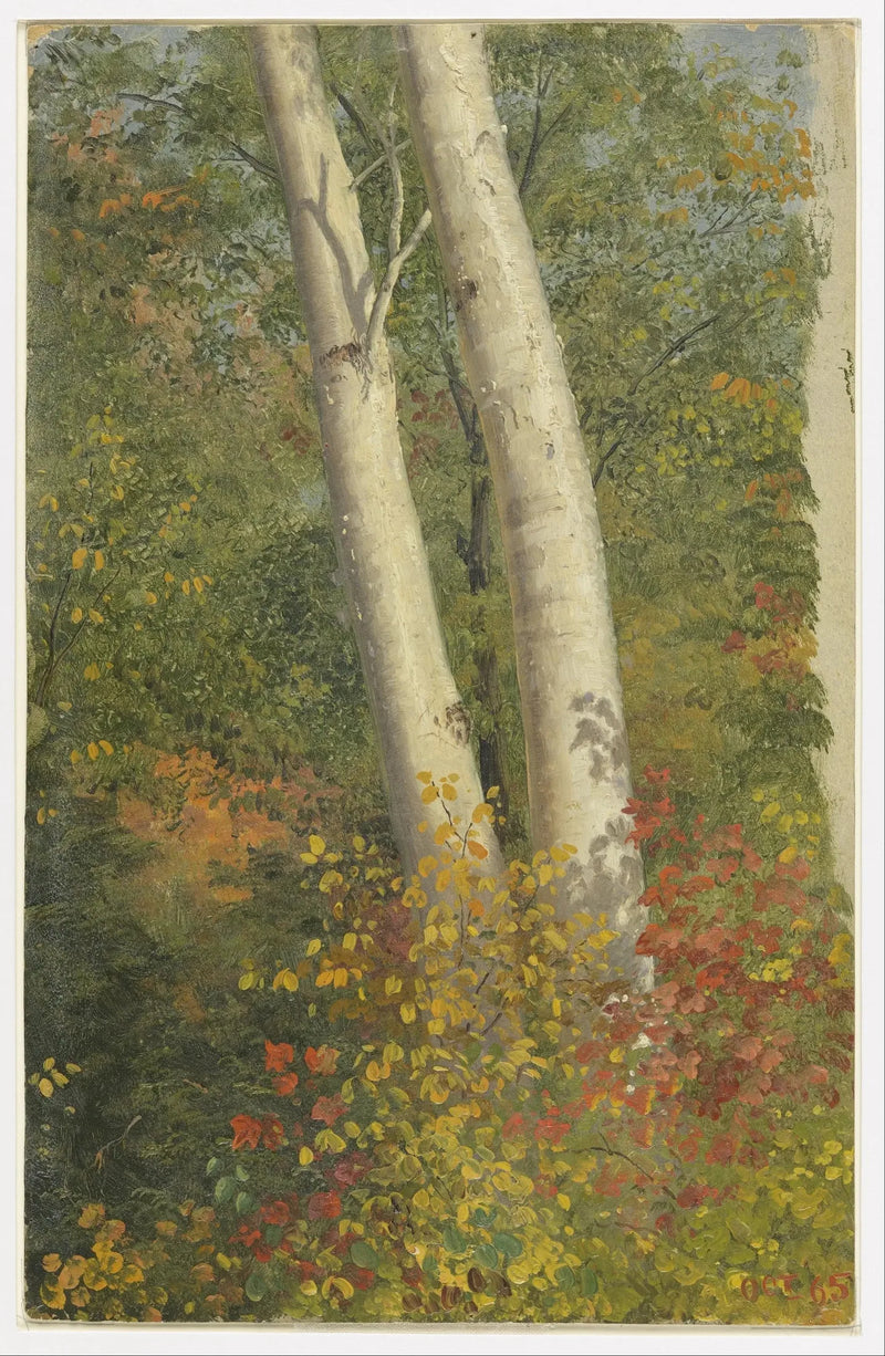 Poplars in Autumn - Frederic Edwin Church