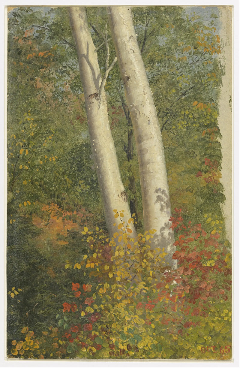 Poplars in Autumn - Frederic Edwin Church