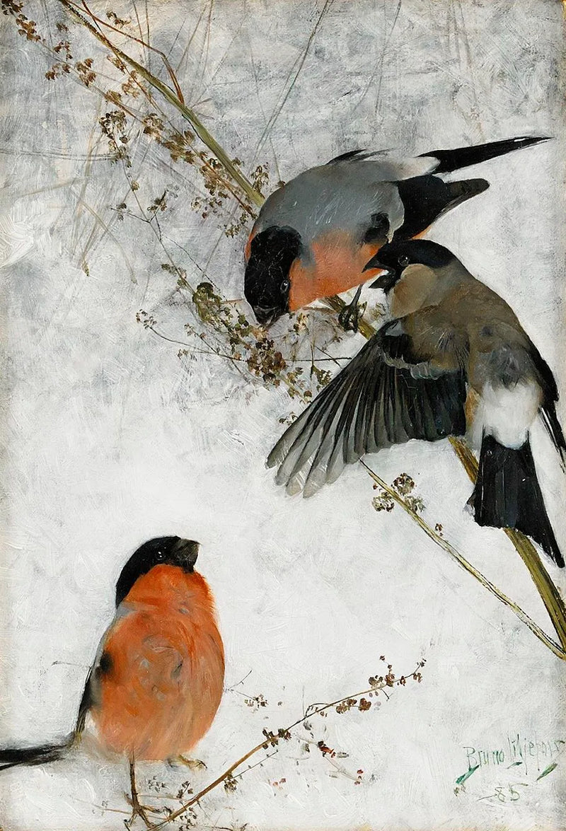 Bullfinches - Bruno Liljefors