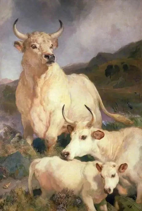 Wild Bovines of Chillingham, Northumberland - Edwin Henry Landseer