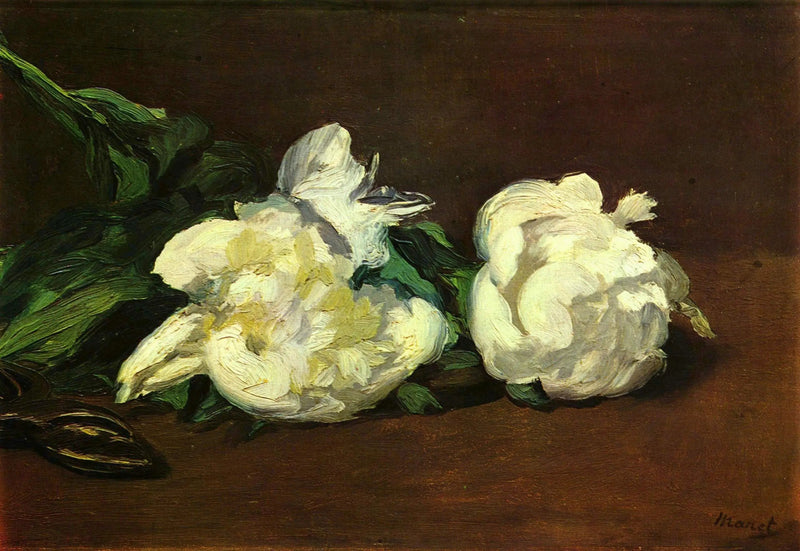 Branch of white peonies and pruning shears - Édouard Manet
