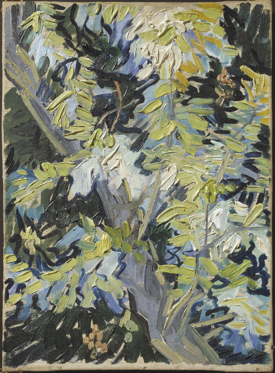 Flowering Acacia Branches - Vincent van Gogh