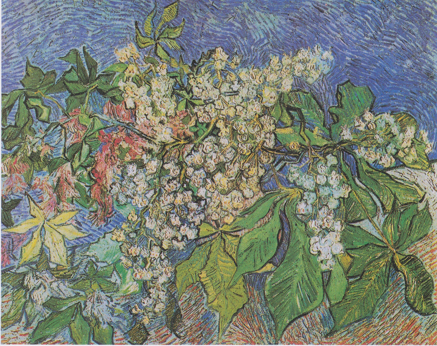 Flowering Chestnut Branches - Vincent van Gogh