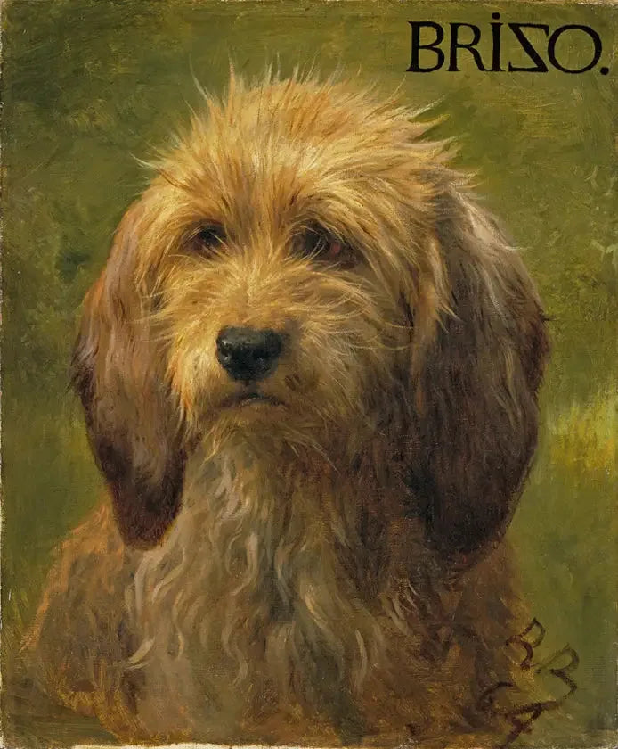 Brizo the dog - Rosa Bonheur