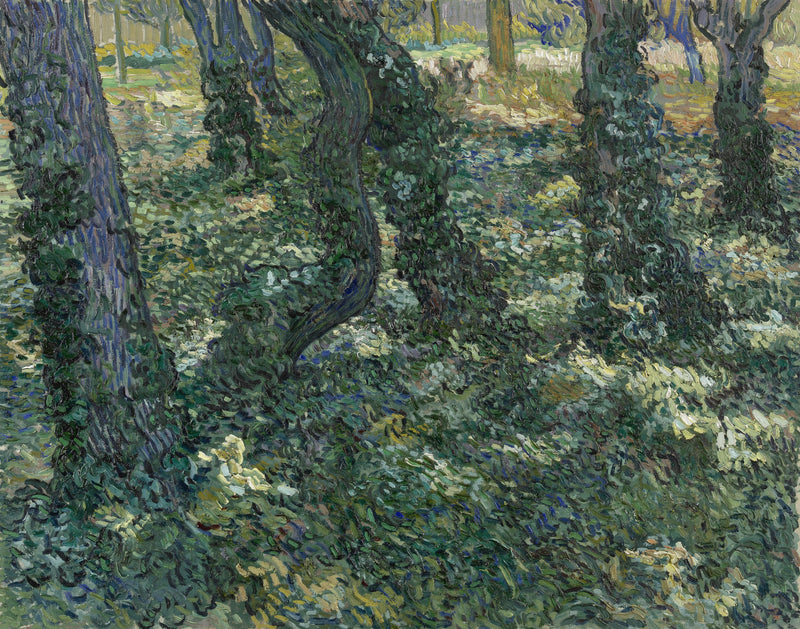 Thickets - Vincent van Gogh