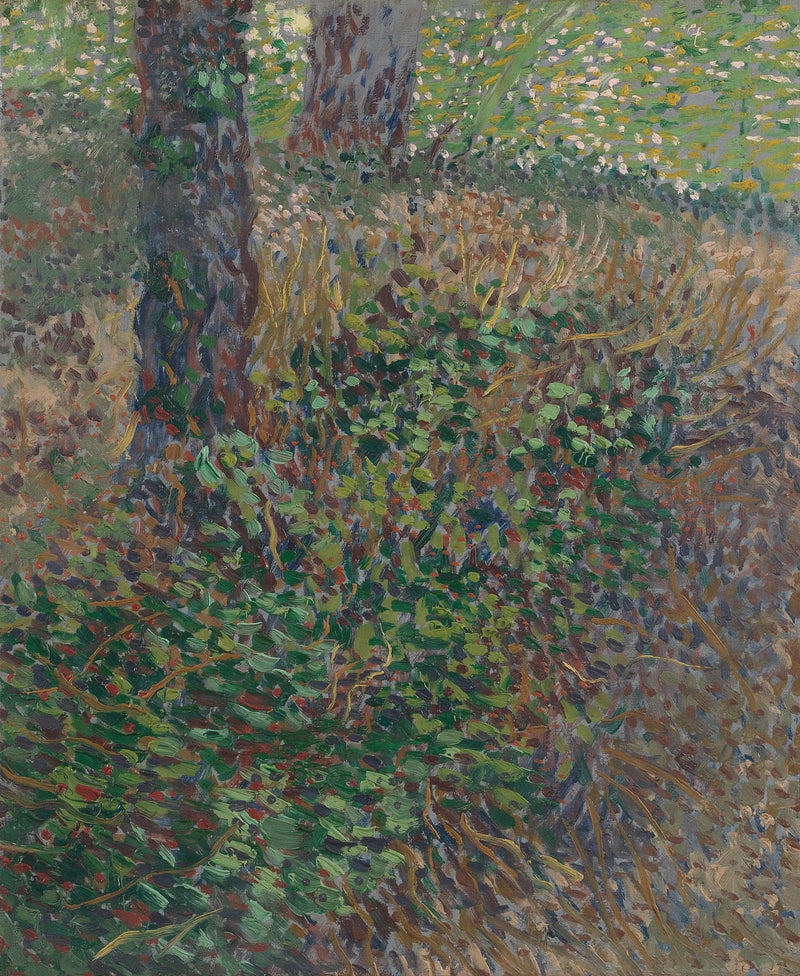 Thickets - Vincent van Gogh