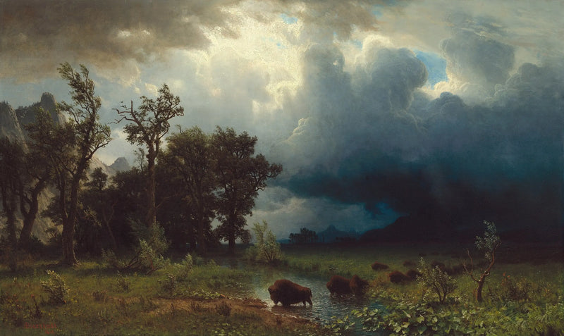 Buffalo Trail: the imminent storm - Albert Bierstadt