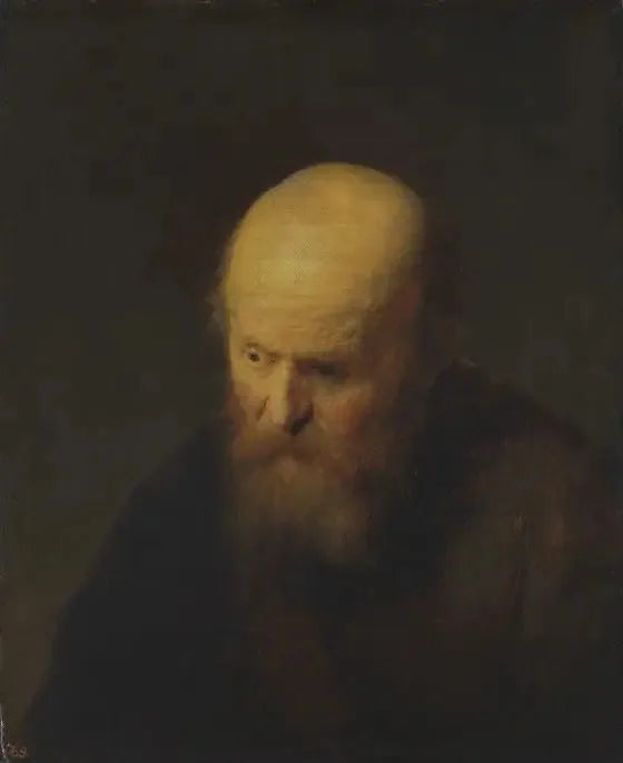 Bust of an old man with a bald head - Rembrandt